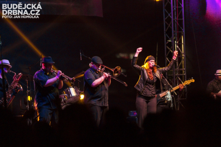 t-music Back to School 2014