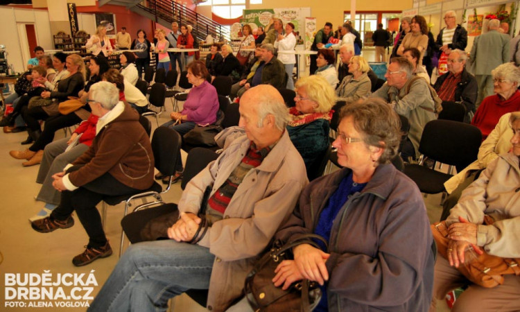 Dětské taneční vystoupení návštěvníky bavilo