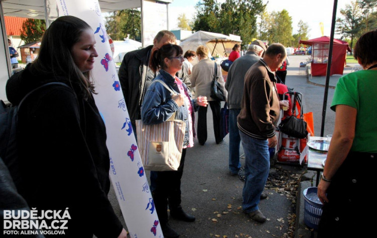 Hobby podzim 2014 (2)