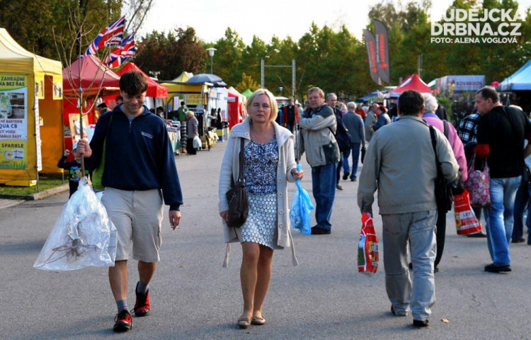Lidé si chodí na Hobby hlavně pro květiny a stromky