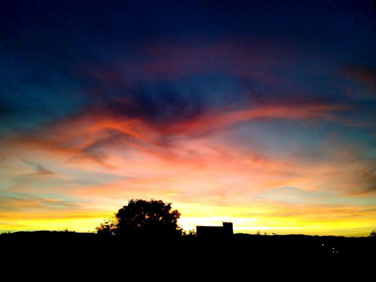 Foto Tina Bohoňková