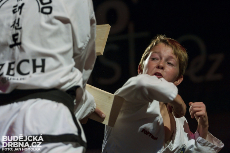 Pardál Gladiators Night 2014