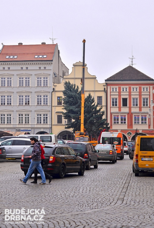 Budějcké náměstí už zdobí vánoční strom