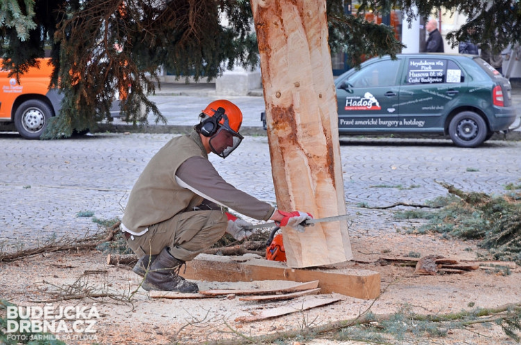 Budějcké náměstí už zdobí vánoční strom