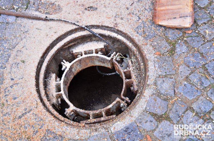 Budějcké náměstí už zdobí vánoční strom