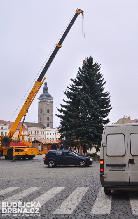 Budějcké náměstí už zdobí vánoční strom