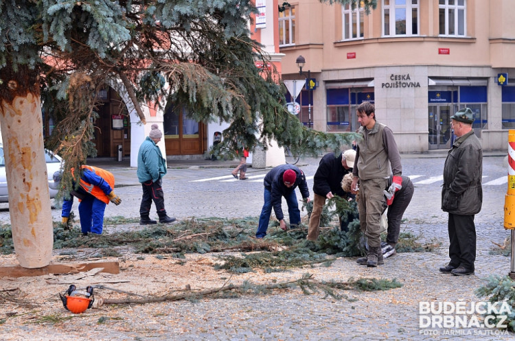 Budějcké náměstí už zdobí vánoční strom
