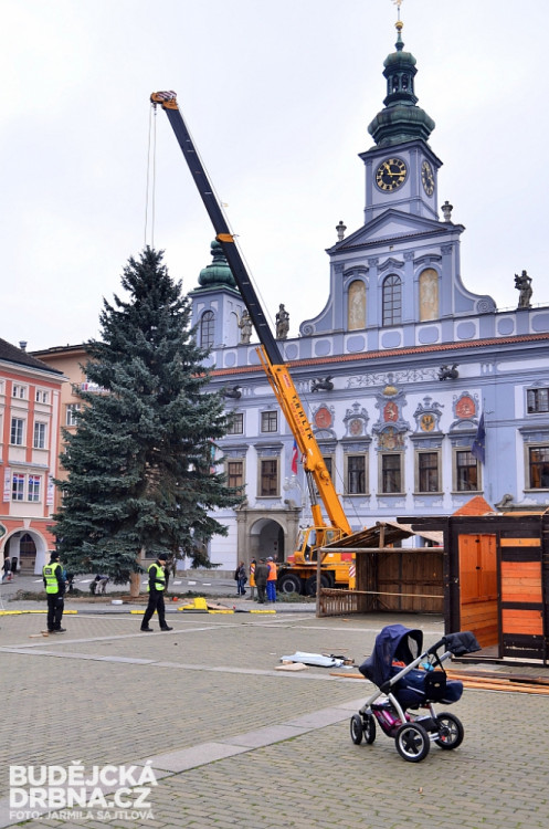 Budějcké náměstí už zdobí vánoční strom