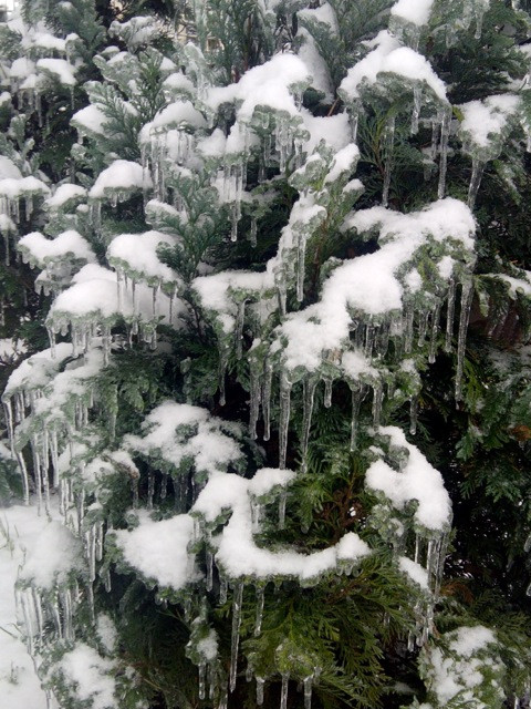 Autor: Pavel Jermář