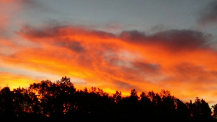 Foto: Matyáš Růta