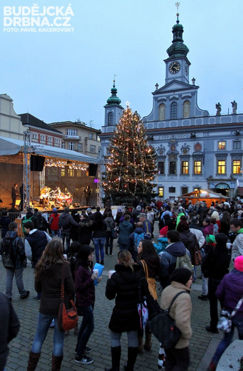 Koncert kapely Element rozproudil divákům krev v žilách
