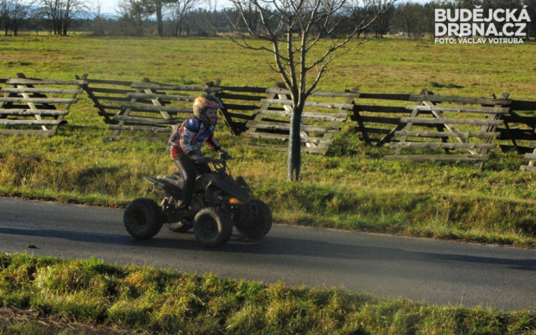 Závod o vánočního kapra