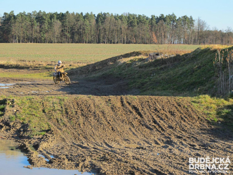 Závod o vánočního kapra