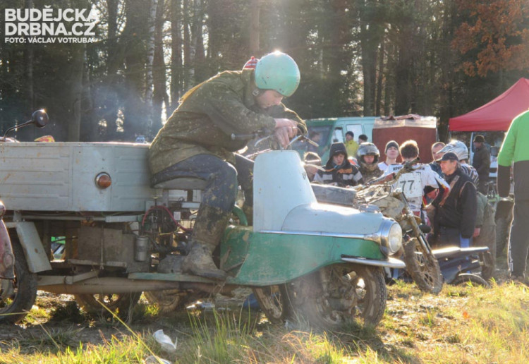 Závod o vánočního kapra