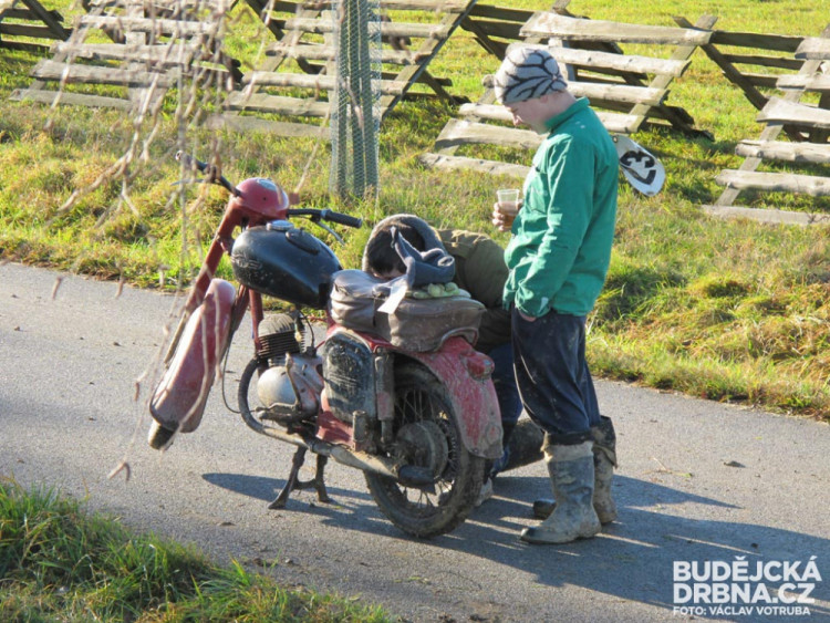 Závod o vánočního kapra
