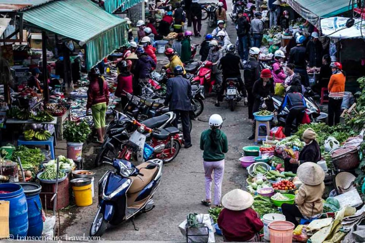 Transcending-Travel.com