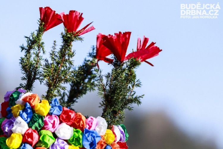 Masopust v Údolí u Nových Hradů