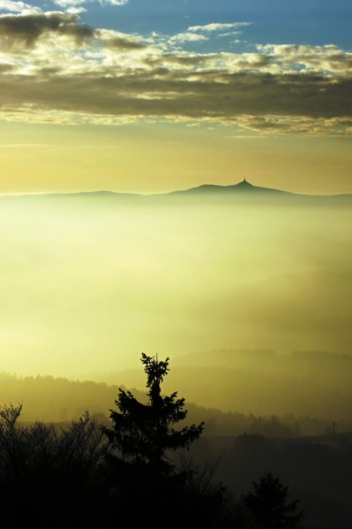 Foto: Tereze Křiklánová