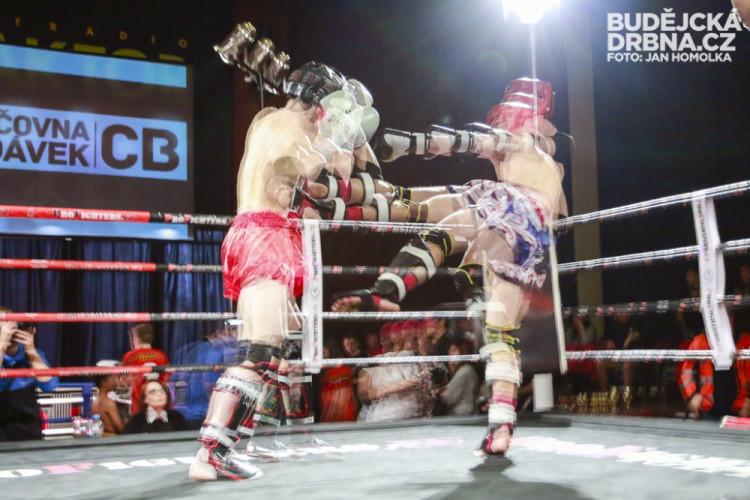 Mistrovství České republiky v muaythai v českobudějovické Gerbeře