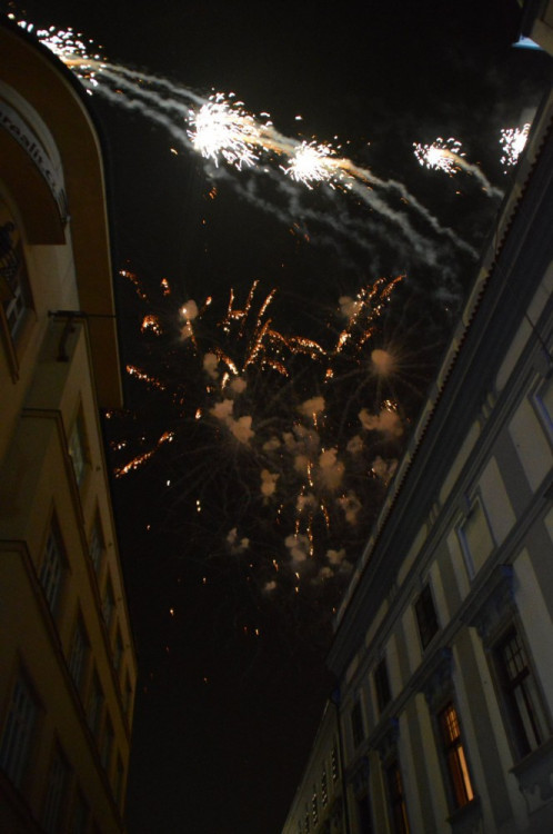 Oslavy založení Českých Budějovic. Foto: Lukáš Jakubec