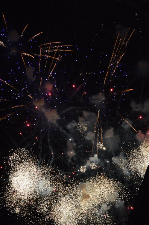 Oslavy založení Českých Budějovic. Foto: Lukáš Jakubec