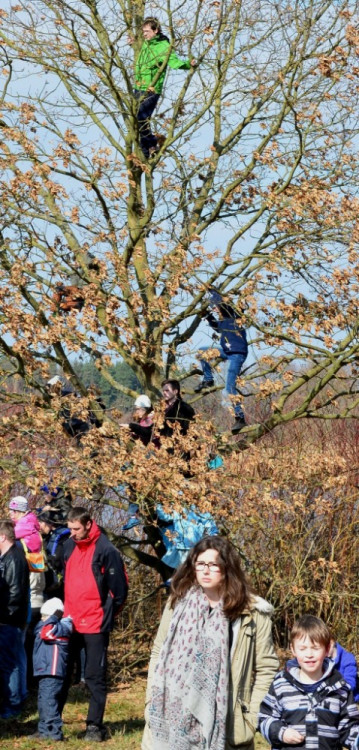 Bitva u Sudoměře