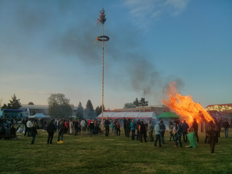 Koleje JČU. Foto: Martin Stránský