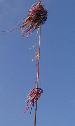 Jaronice. Foto: Majda Tučková