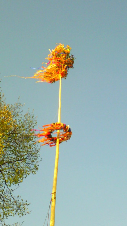 Litvínovice. Foto: Petra Pellarová