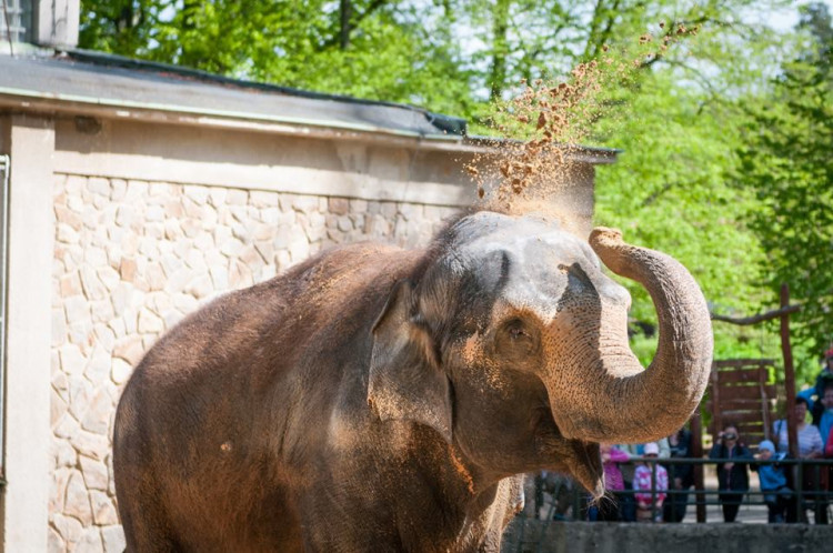 Prosluněná zoologická zahrada v Liberci