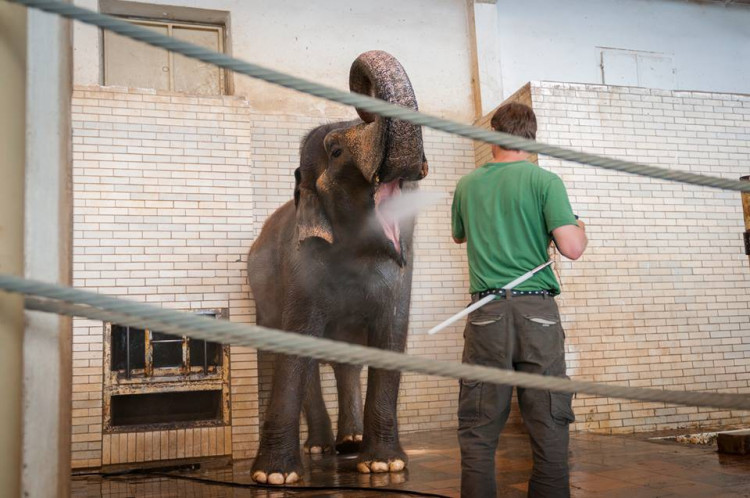 Prosluněná zoologická zahrada v Liberci