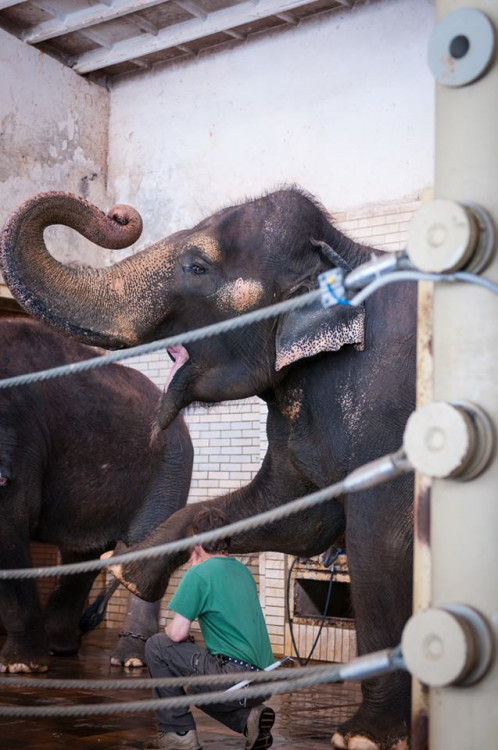 Prosluněná zoologická zahrada v Liberci