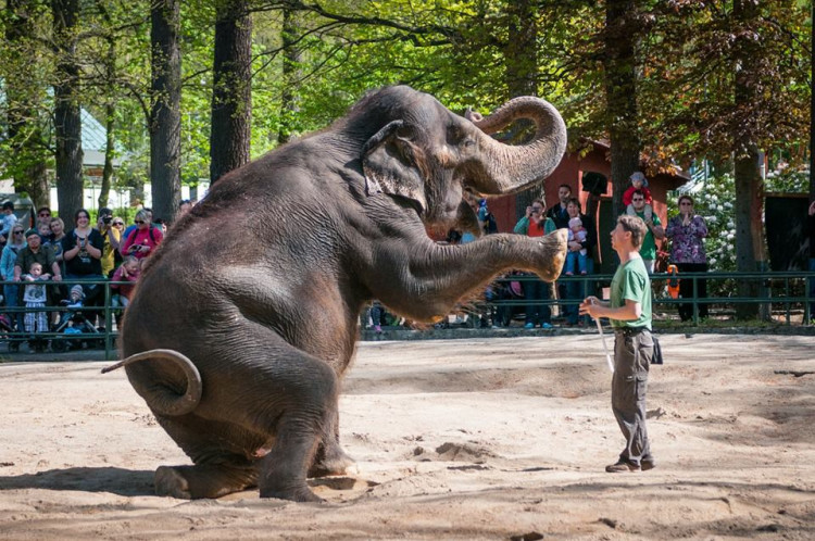 Prosluněná zoologická zahrada v Liberci