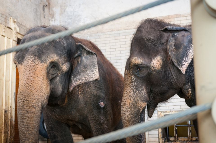 Prosluněná zoologická zahrada v Liberci