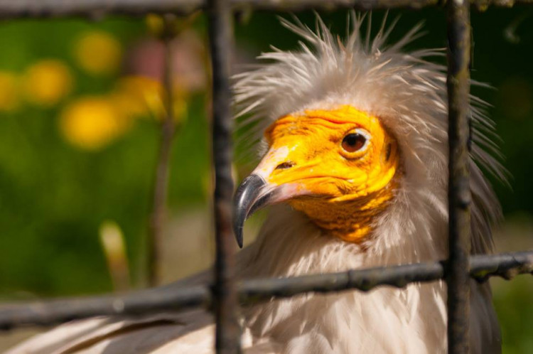 Prosluněná zoologická zahrada v Liberci