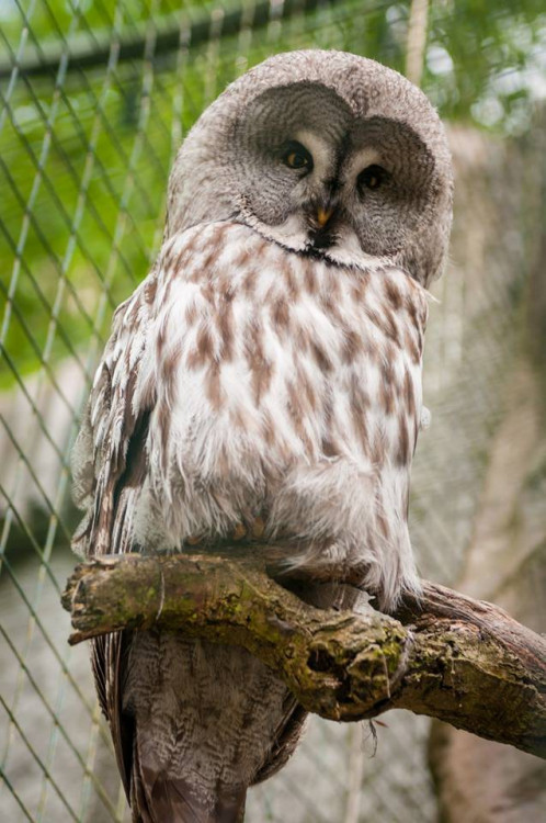 Prosluněná zoologická zahrada v Liberci