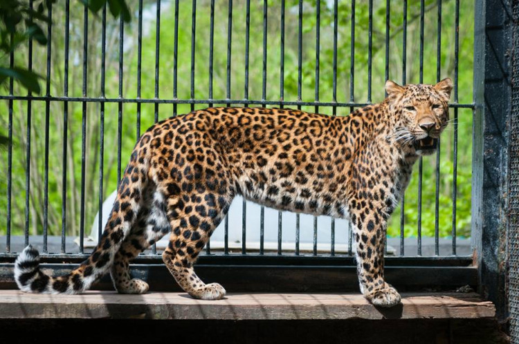 Prosluněná zoologická zahrada v Liberci