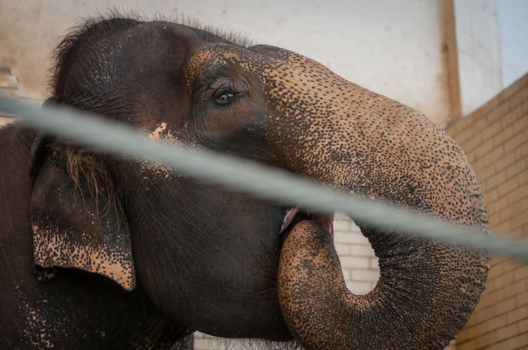 Prosluněná zoologická zahrada v Liberci