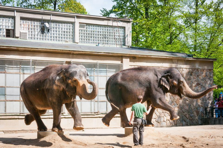Prosluněná zoologická zahrada v Liberci