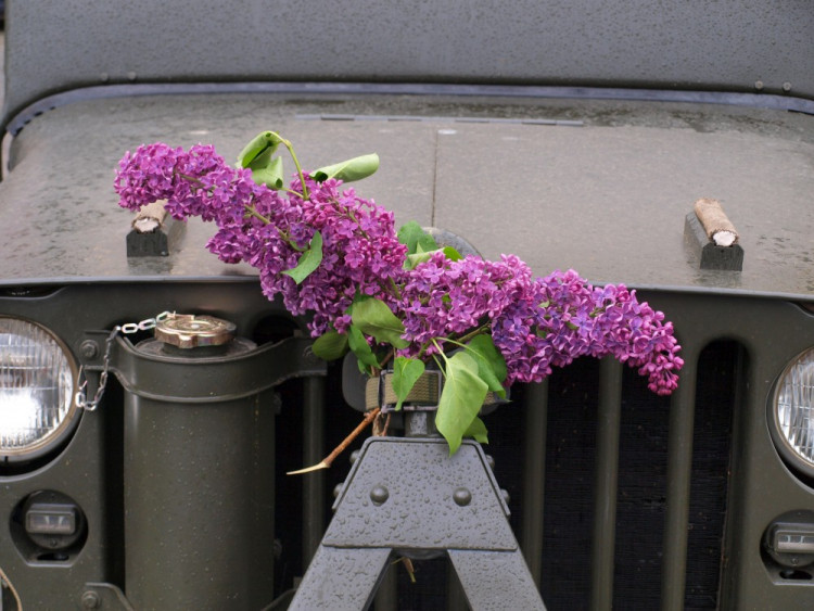 Autor Martina Mandelíčková