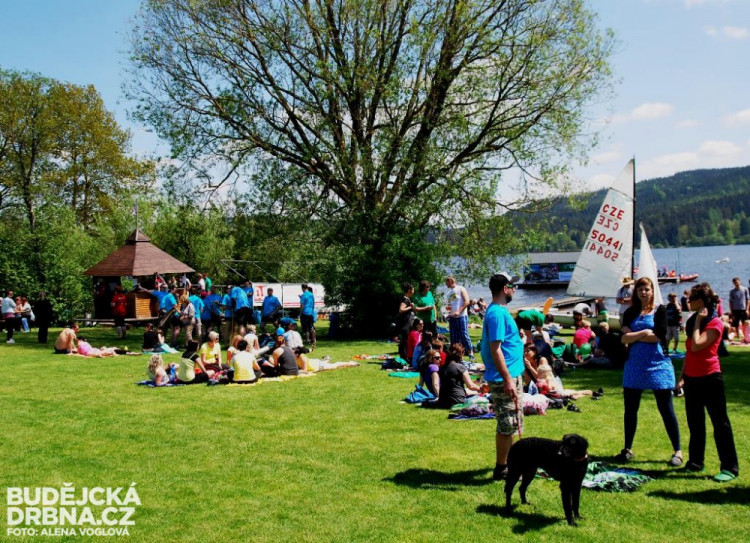 Dračí lodě - Lipno 2015