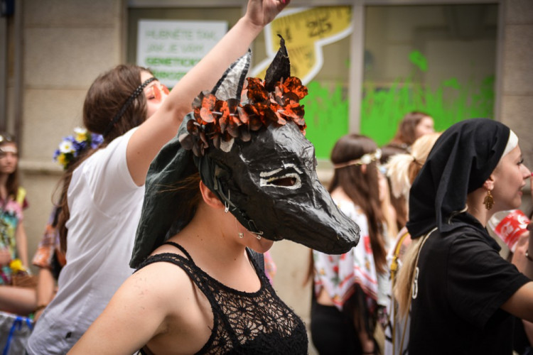 Průvod Budějovického Majálesu 2015. Foto: Dominik Svoboda