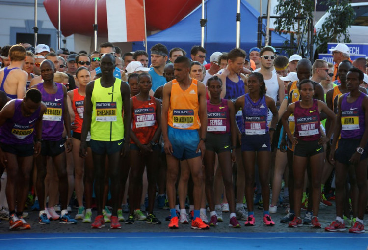 Budějcký půlmaraton 2015