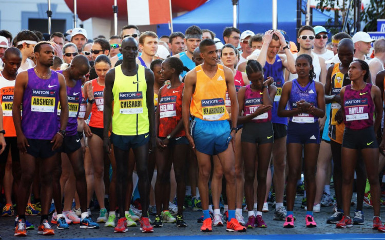 Budějcký půlmaraton 2015