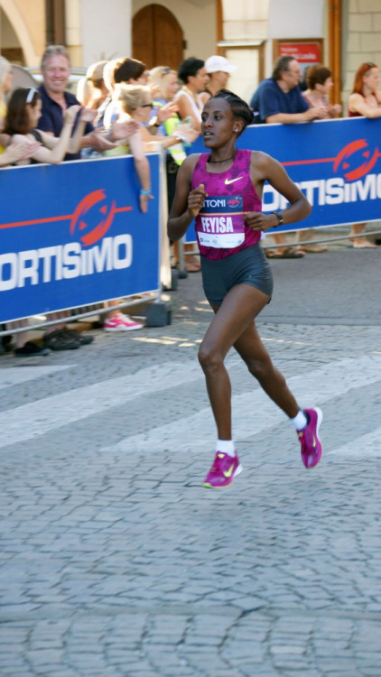 Budějcký půlmaraton 2015