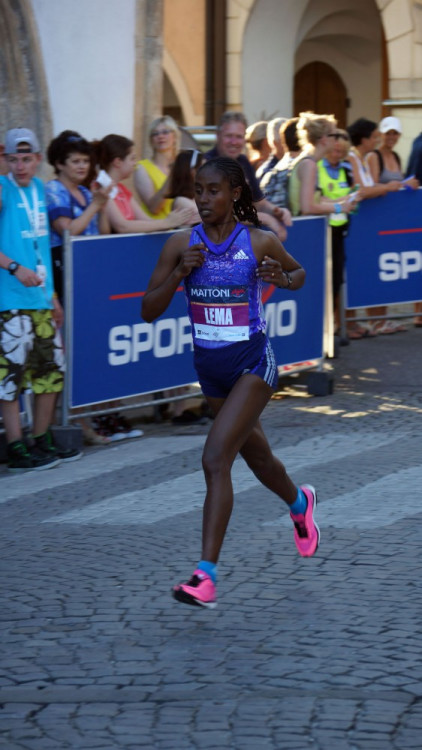 Budějcký půlmaraton 2015