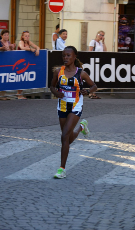 Budějcký půlmaraton 2015