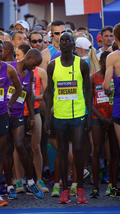 Budějcký půlmaraton 2015