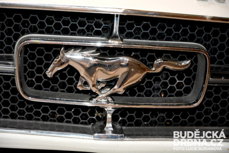 Veteran muzeum Nová Bystřice