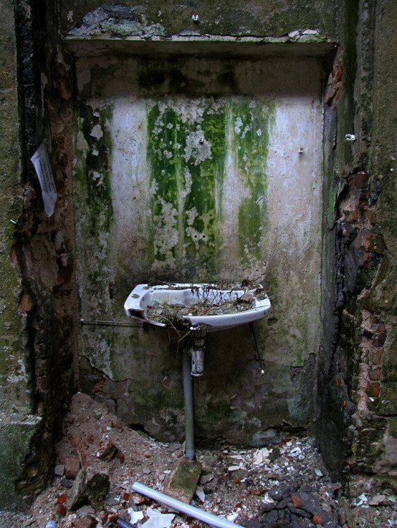 Ukázka obrazu pro dražbu